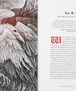 THE BOOK OF RAVEN: CORVIDS IN ART AND LEGEND -BEETLEJUICE Shop book of raven 6