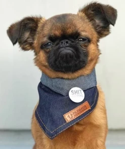 PETHAUS HOBO DENIM DOG BANDANA