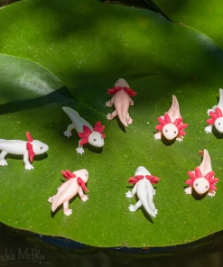 ITTY BITTY HAPPY AXOLOTLS