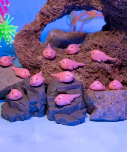 ITTY BITTY BLOBFISH