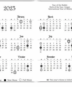 THE PRACTICAL WITCH'S ALMANAC 2023: INFINITE SPELLS BOOK -BEETLEJUICE Shop practical witch 2023 3