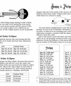 THE PRACTICAL WITCH'S ALMANAC 2023: INFINITE SPELLS BOOK -BEETLEJUICE Shop practical witch 2023 5
